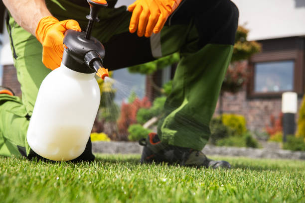 Best Affordable Pest Control Services  in Gra Forks Af, ND