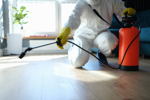 Best Flea Control Services  in Gra Forks Af, ND