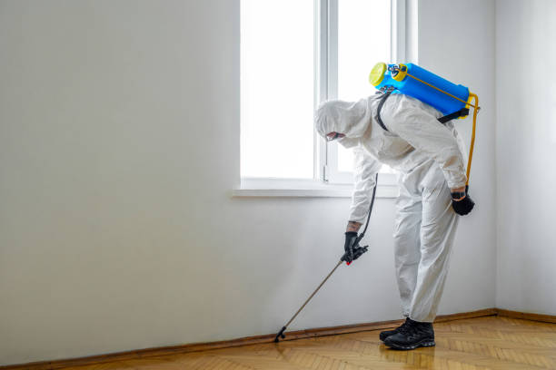 Best Pest Removal Services  in Gra Forks Af, ND