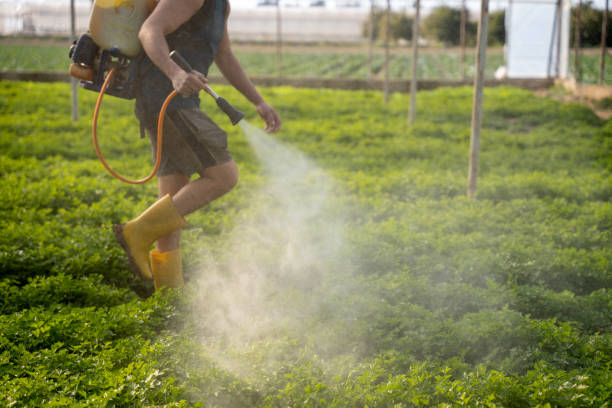 Best Ant Control Services  in Gra Forks Af, ND
