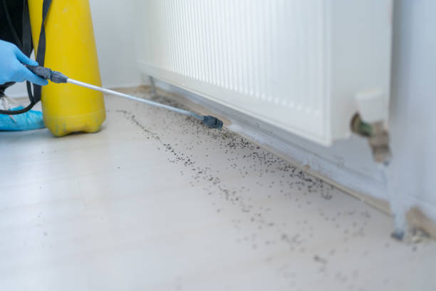 Best Best Pest Control Companies  in Gra Forks Af, ND