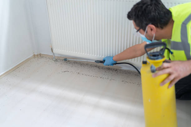 Best Cockroach Control Services  in Gra Forks Af, ND