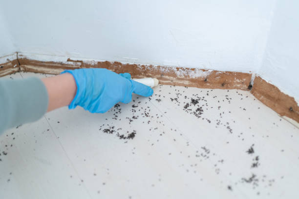 Trusted Grand Forks Af, ND Pest Control Experts